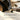 Elitequo Knife Block Set Night Flash